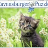 Kinderen Ravensburger Dieren|Legpuzzels<Katje in de wei - puzzel van 500 stukjes