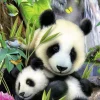 Kinderen Ravensburger Dieren|Legpuzzels<Lieve panda - 300 stukjes XXL