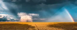 Ravensburger Panorama|Landschappen<Mystieke regenboog - Java - panoramische puzzel van 1000 stukjes