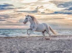 Kinderen Ravensburger Dieren|Legpuzzels<Paard op het strand - puzzel van 500 stukjes