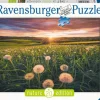 Kinderen Ravensburger Tekening|Dieren<Paardenbloemen bij zonsondergang - puzzel van 500 stukjes