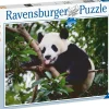 Kinderen Ravensburger Dieren|Legpuzzels<Panda in de boom - puzzel van 500 stukjes