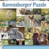Kinderen Ravensburger Dieren|Legpuzzels<Schattige babydieren - puzzel van 200 stukjes