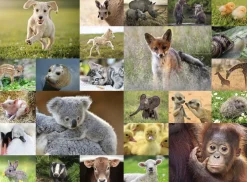 Kinderen Ravensburger Dieren|Legpuzzels<Schattige babydieren - puzzel van 200 stukjes
