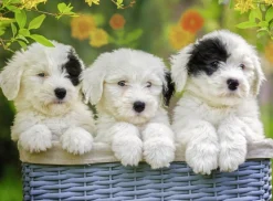 Kinderen Ravensburger Dieren|Legpuzzels<Schattige puppies - 200 stukjes