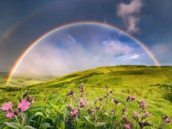 Ravensburger Landschappen|1500-1999<Spectaculaire Regenboog - puzzel van 1500 stukjes