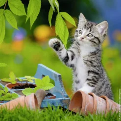 Kinderen Ravensburger Dieren|Legpuzzels<Tijger katjes - 3 puzzels van 49 stukjes