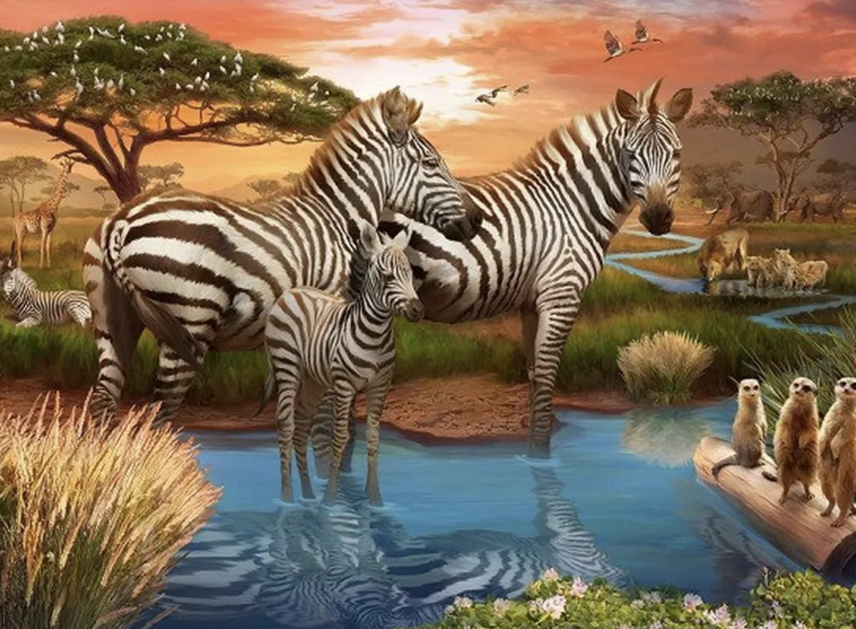 Kinderen Ravensburger Dieren|Legpuzzels<Zebra´s bij de drinkplaats - puzzel van 500 stukjes