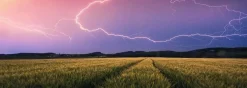 Kinderen Ravensburger Landschappen|Legpuzzels<Zomers onweer - puzzel van 500 stukjes