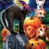 SUNSOUT Dieren|100-499<Don't mess with Kitty - legpuzzel van 300 XXL stukjes