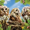 SUNSOUT Tekening|Dieren<Lori Schory - Hear No Speak No See No - legpuzzel van 300 XXL stukjes