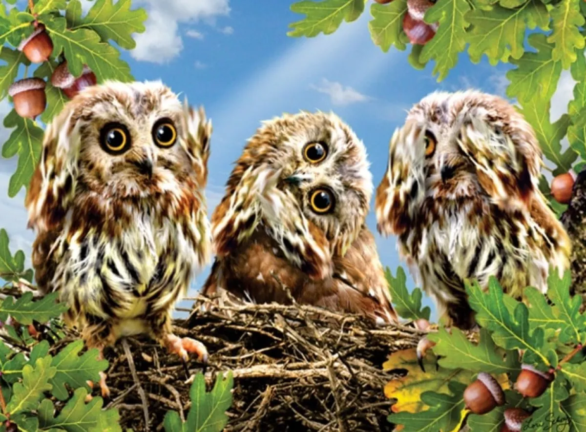 SUNSOUT Tekening|Dieren<Lori Schory - Hear No Speak No See No - legpuzzel van 300 XXL stukjes