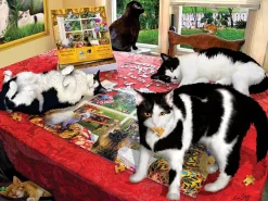 SUNSOUT Dieren|1000-1499<Lori Schory - Wie liet de katten uit? - legpuzzel van 1000 stukjes