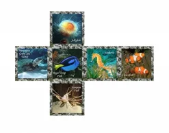 Kinderen V-Cube Kubus<V-2 Sea World - Kubus